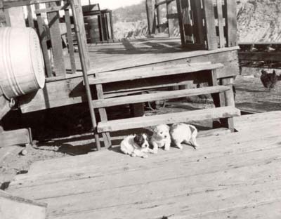 Front porch of the Deriu home in Hempstead Harbor, N.Y., 1940s