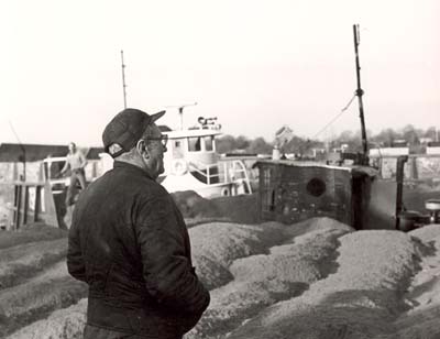 Al Marino surveys the scene, 1979