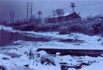 Views along West Shore Road, 1950s